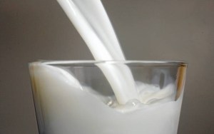 mjölk farlig för hälsa